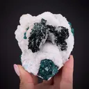 Malachite and Calcite on Dioptase - image 2
