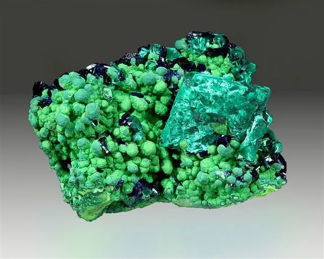 Malachite, Azurite, Mottramite image