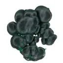 Malachite - image 1