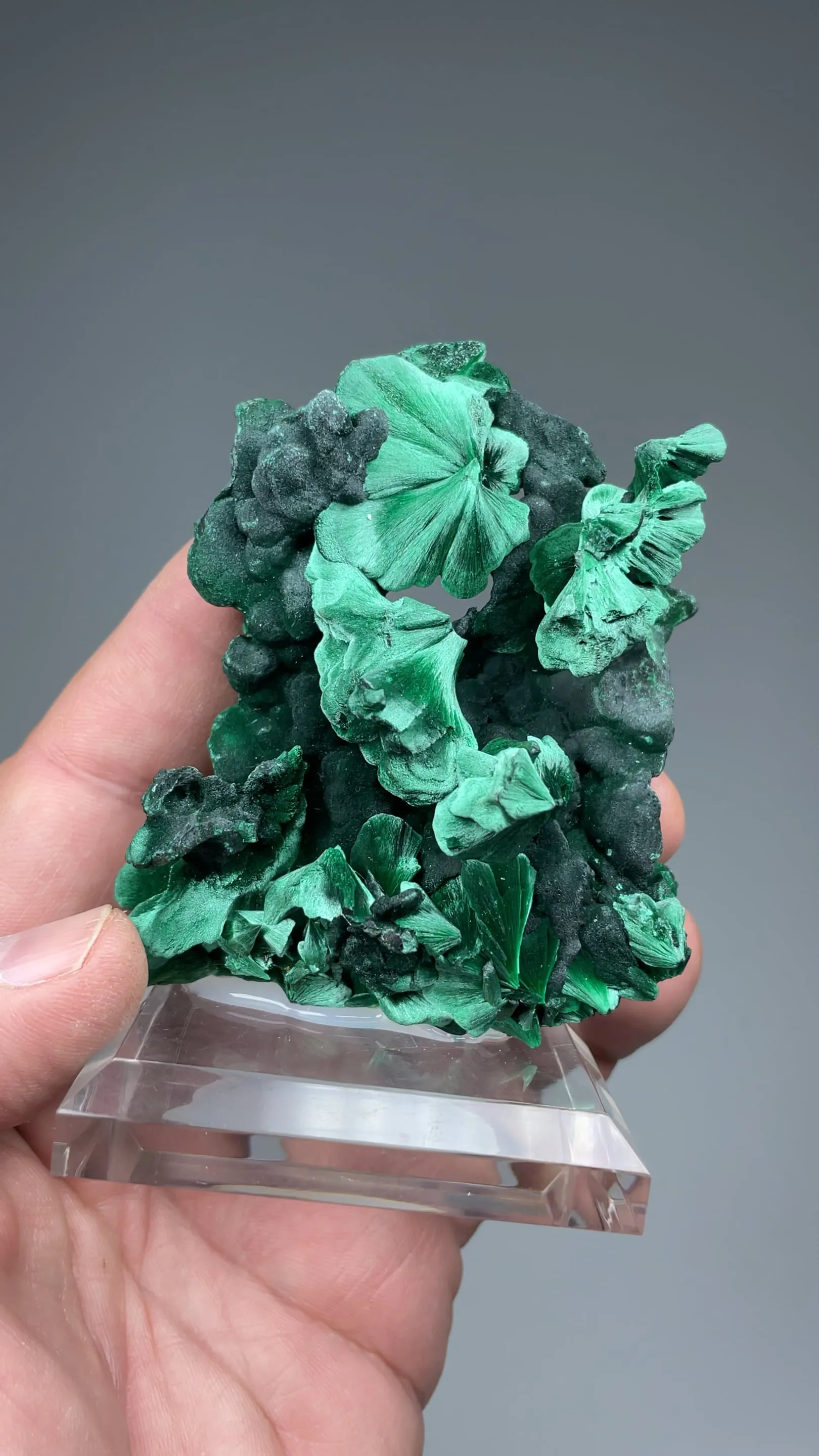 Malachite - image 2
