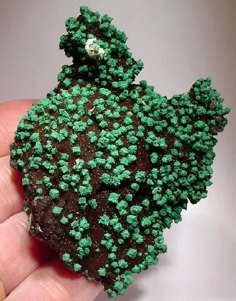 Malachite, Cuprite image