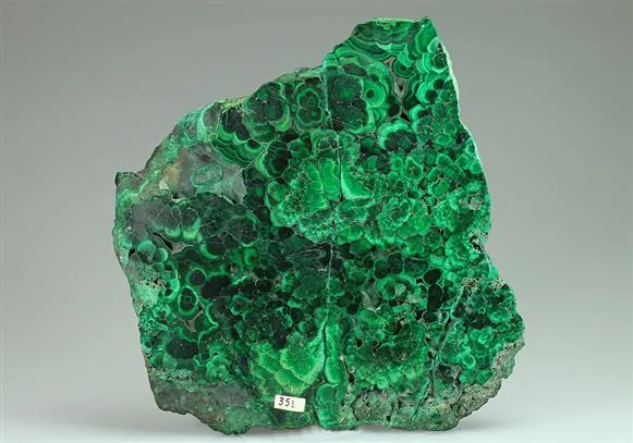 Malachite Cut and Polished image