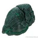 Malachite - image 5