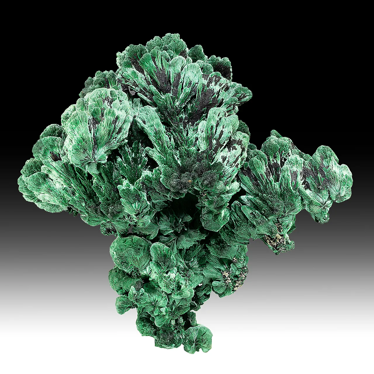 Malachite - image 1