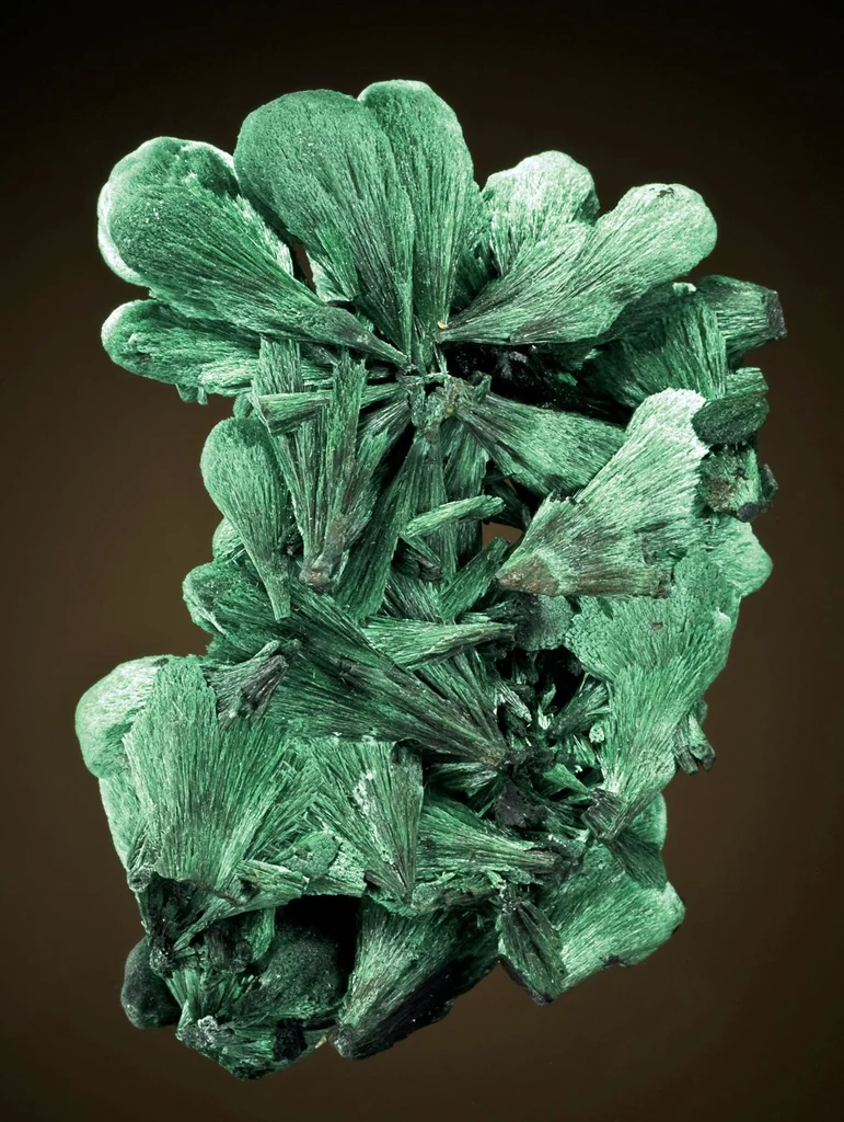 Malachite from Bisbee, Cochise County, Arizona, USA image