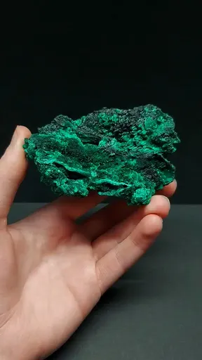 specimen video
