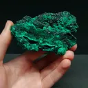 specimen video