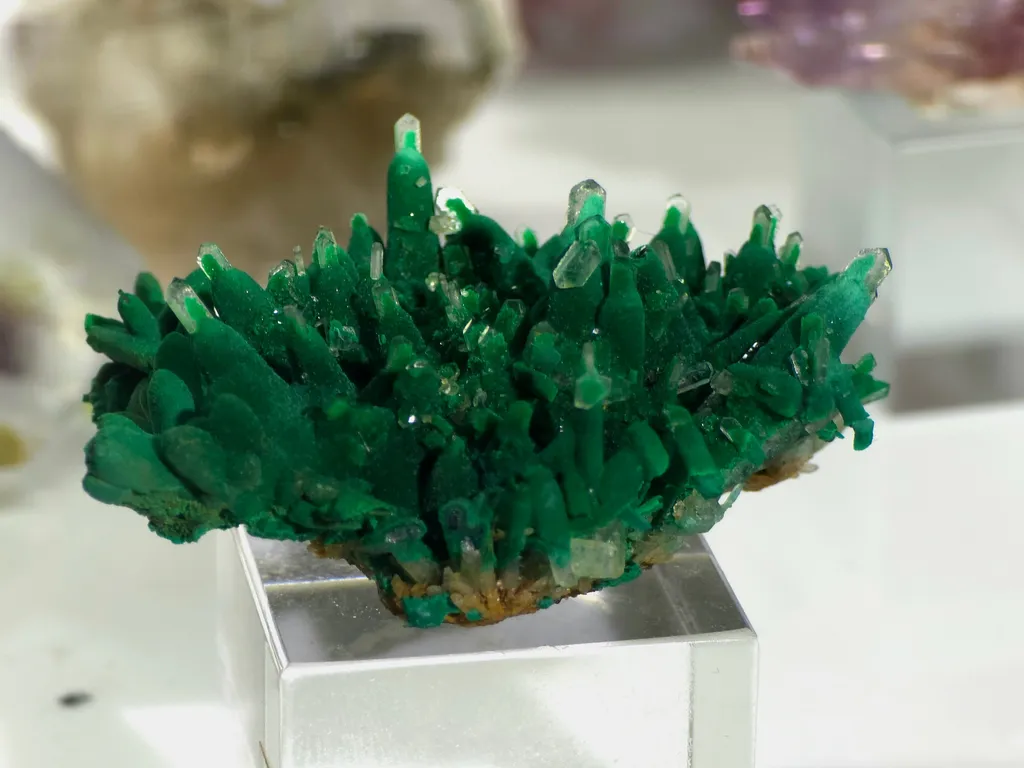 Malachite from DR Congo, Haut-Katanga, Kambove Territory, Kambove, Shangulowé Mine image