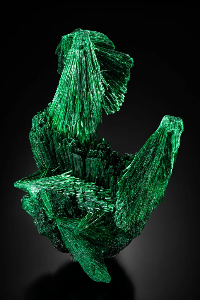 Malachite from DR Congo, Haut-Katanga, Kambove Territory, Mindingi Mine image