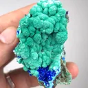 specimen video