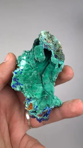 specimen video
