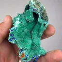 specimen video