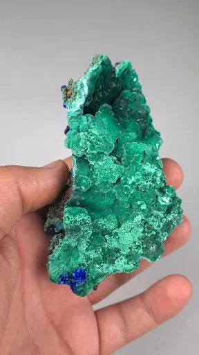 specimen video
