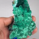 specimen video