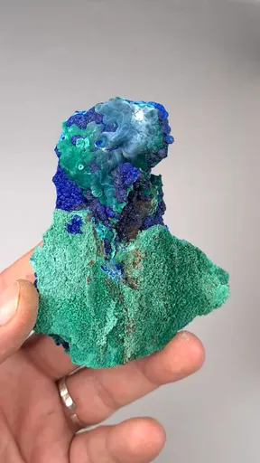 specimen video