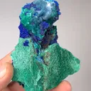 specimen video