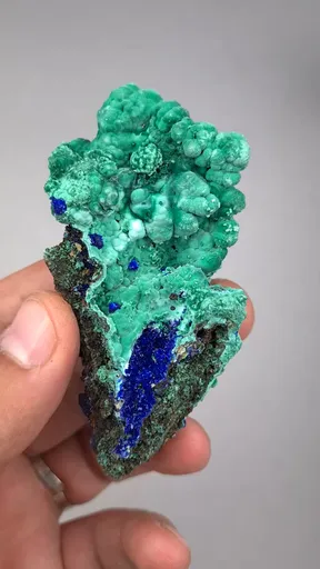 specimen video