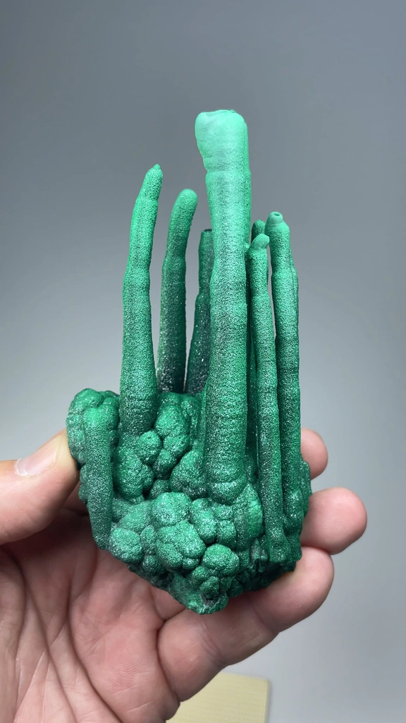 Malachite from Kambove, Kambove Territory, Haut-Katanga, DR Congo - image 2