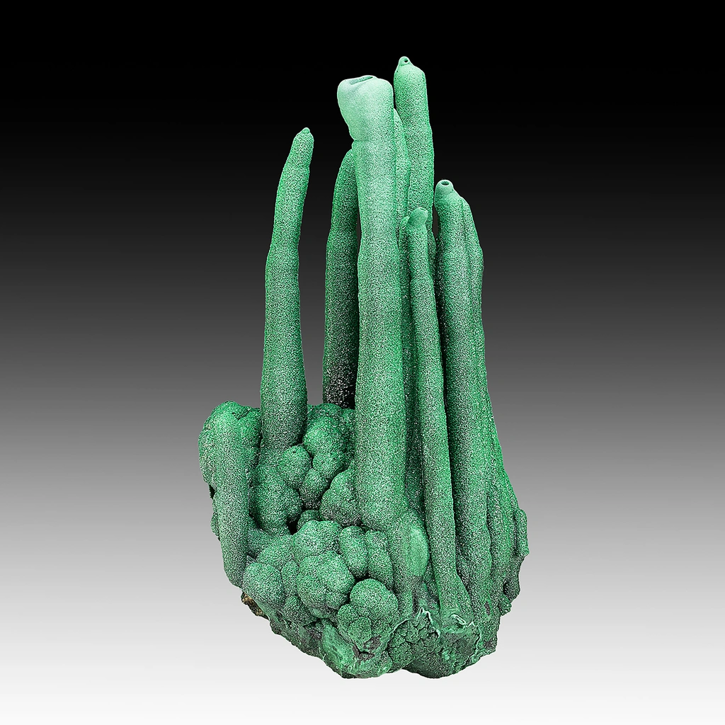 Malachite from Kambove, Kambove Territory, Haut-Katanga, DR Congo image