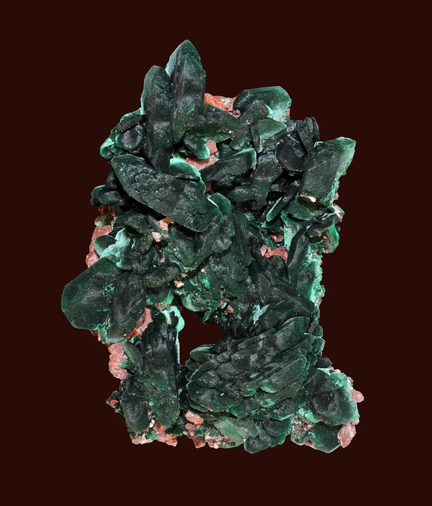 Malachite from Mexico, Sonora, Milpillas, Milpillas Mine image