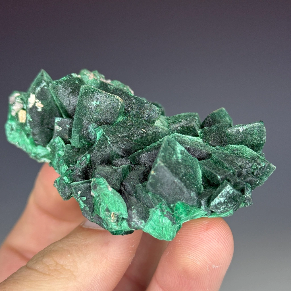 Malachite from Milpillas Mine, Milpillas, Sonora, Mexico - image 2