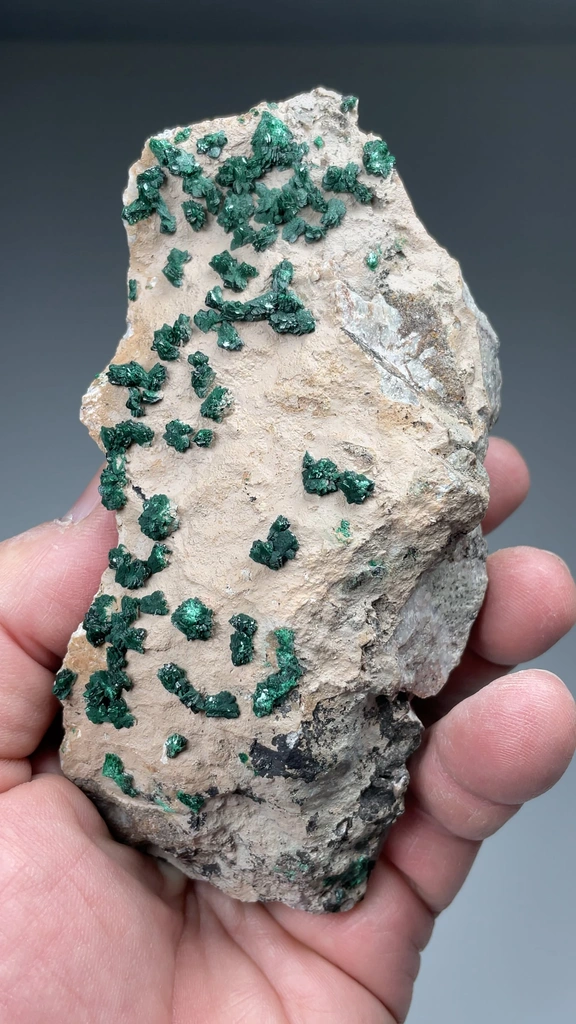 Malachite from M'sesa Mine, Kambove, Kambove Territory, Haut-Katanga, DR Congo - image 2