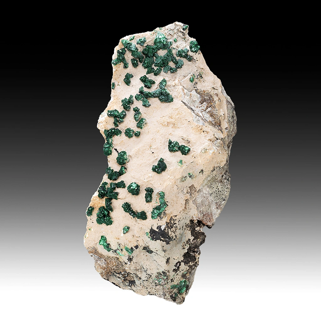 Malachite from M'sesa Mine, Kambove, Kambove Territory, Haut-Katanga, DR Congo - image 1