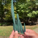 Malachite from Shilu mine, China - image 2