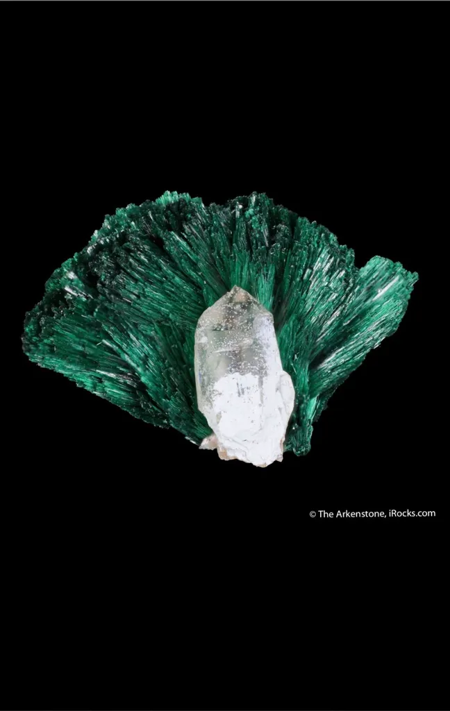 Malachite from USA, Arizona, Yavapai County image