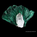 Malachite from USA, Arizona, Yavapai County - image 1