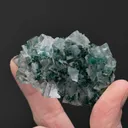 Malachite in Calcite - image 2