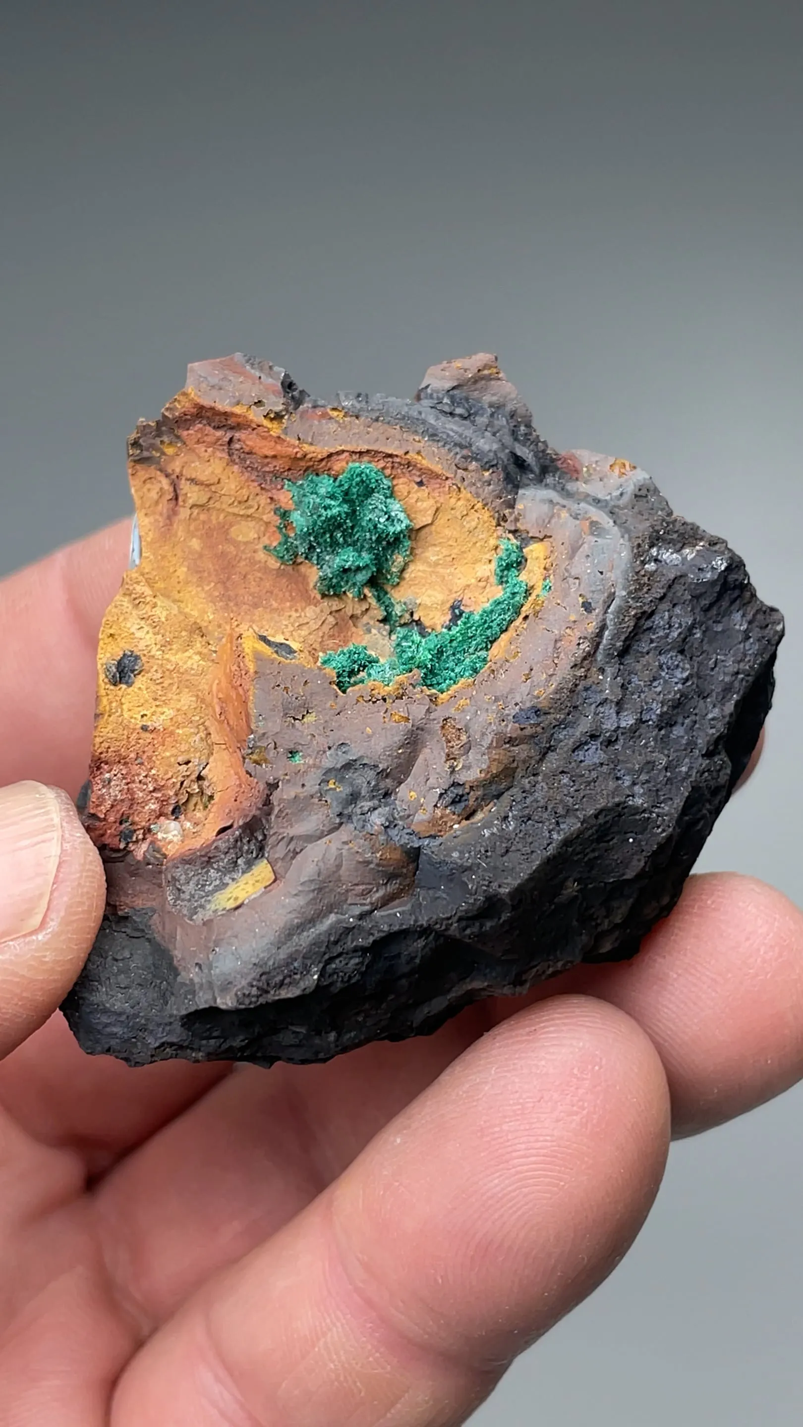 Malachite on Atacamite - image 2