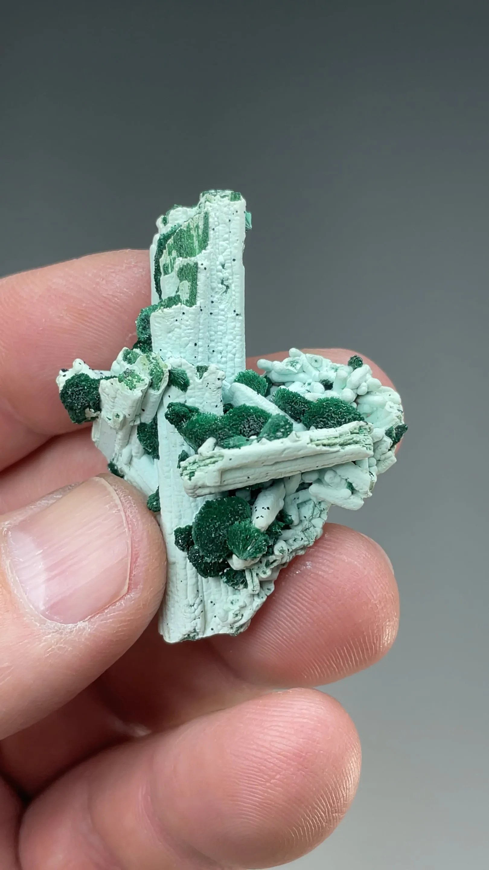 Malachite on Chrysocolla pseudomorph - image 2