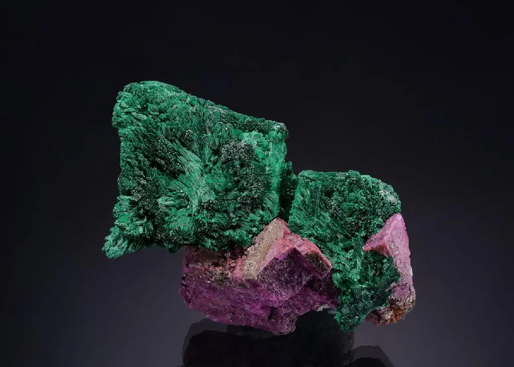 Malachite on Cobaltoan Dolomite image