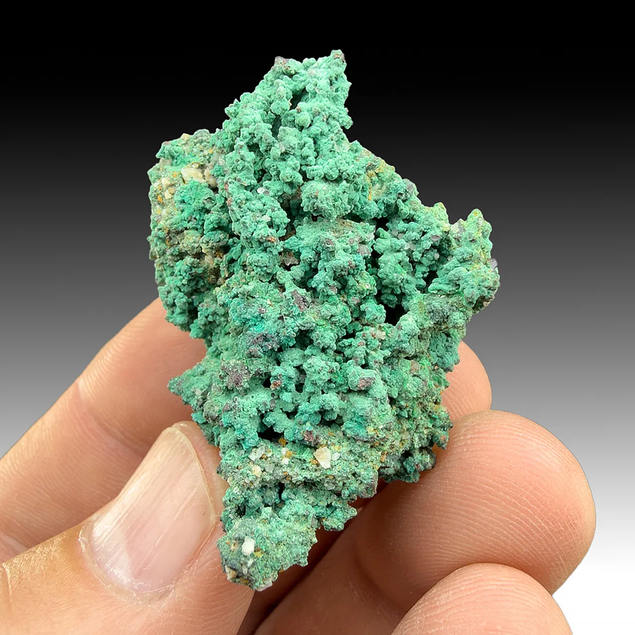 Malachite on Copper - image 1