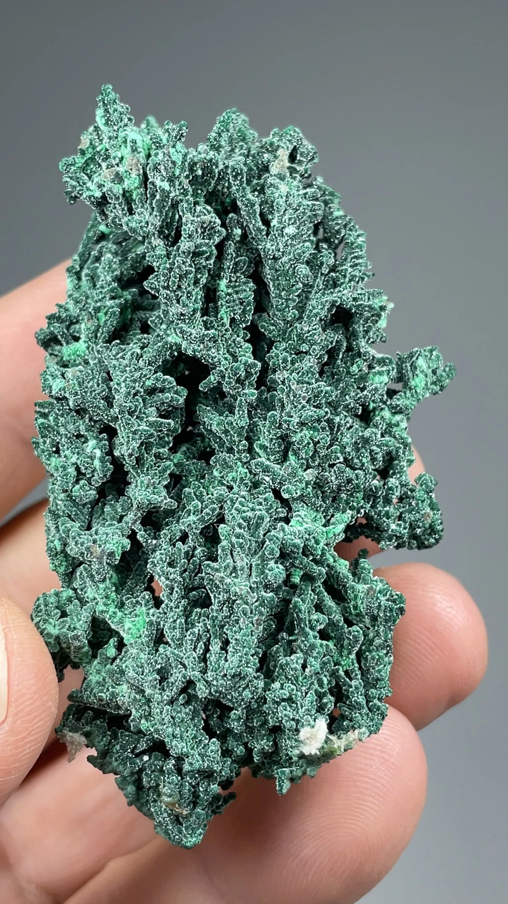 Malachite on Copper - image 2