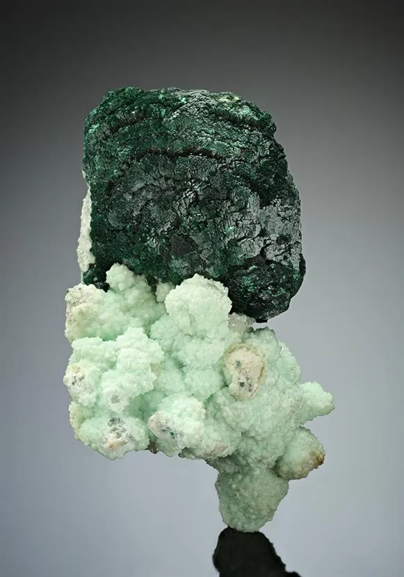 Malachite on CUPRIAN Smithsonite image