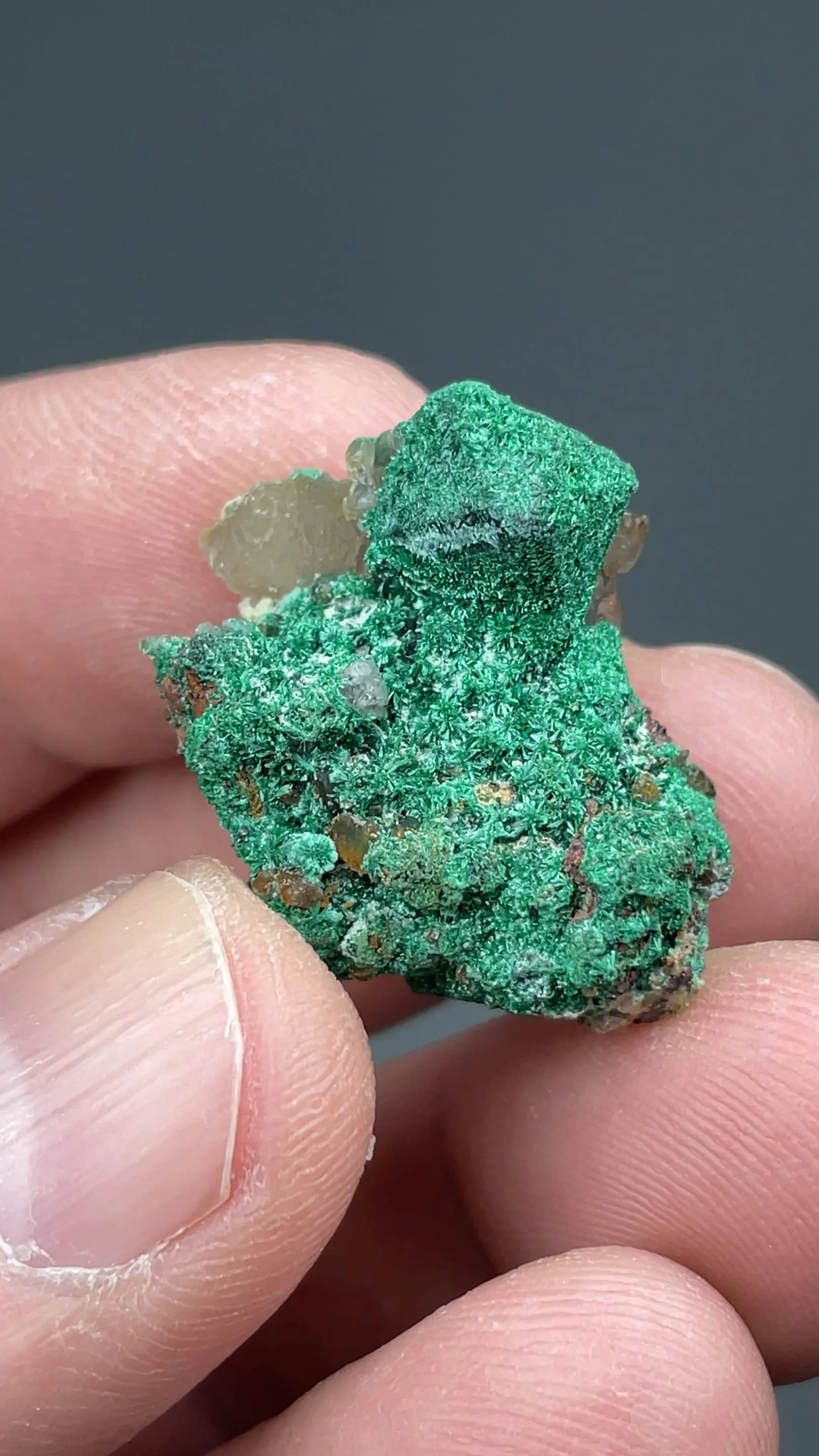Malachite on Cuprite - image 2