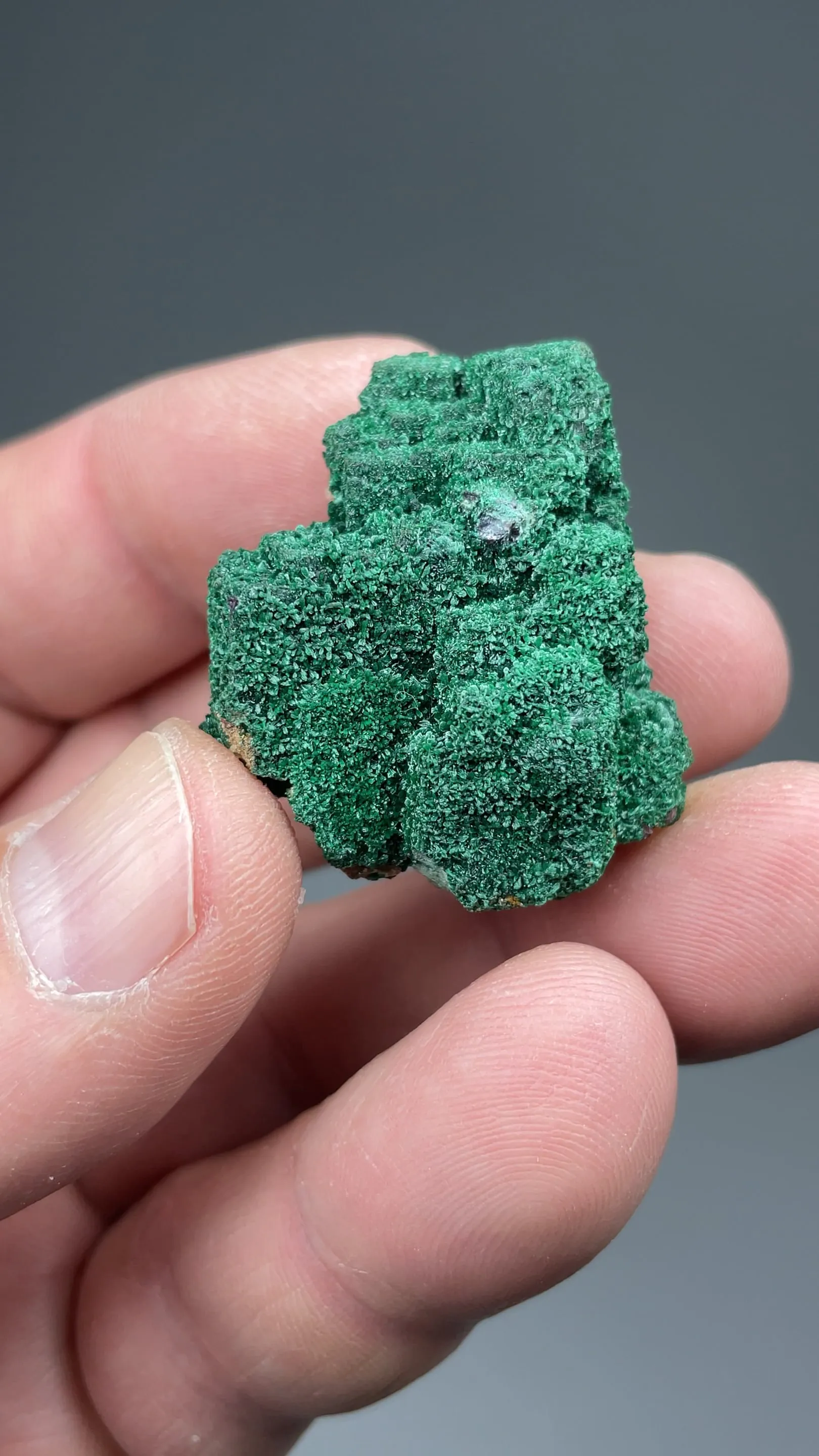 Malachite on Cuprite - image 2