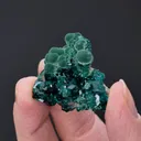 Malachite on Dioptase - image 2