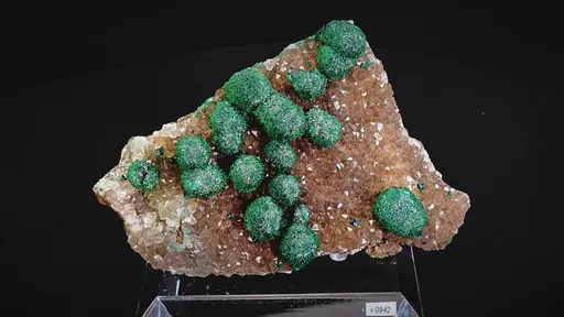 specimen video