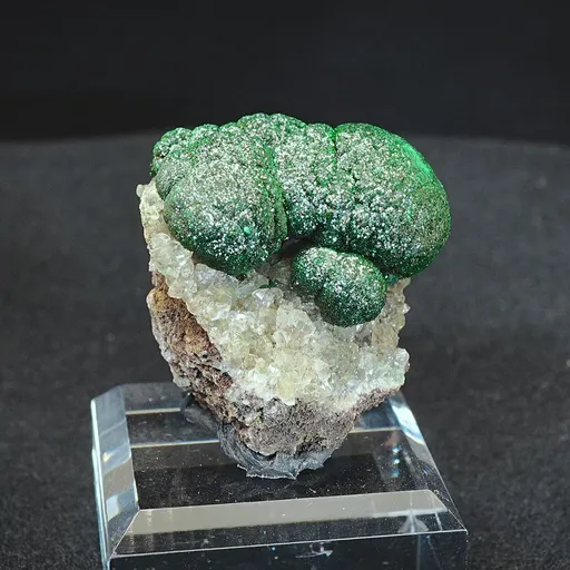 specimen video