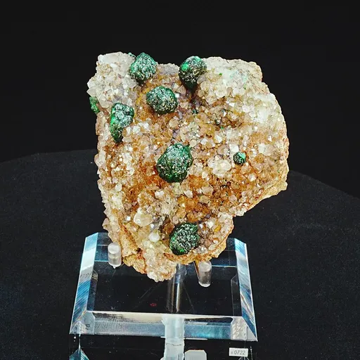 specimen video