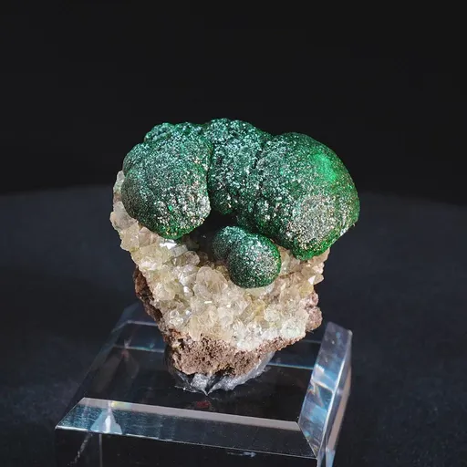 specimen video