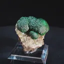 specimen video