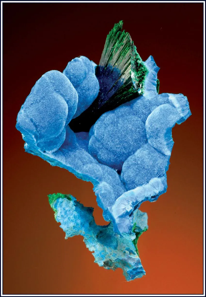 Malachite on Shattuckite - image 1