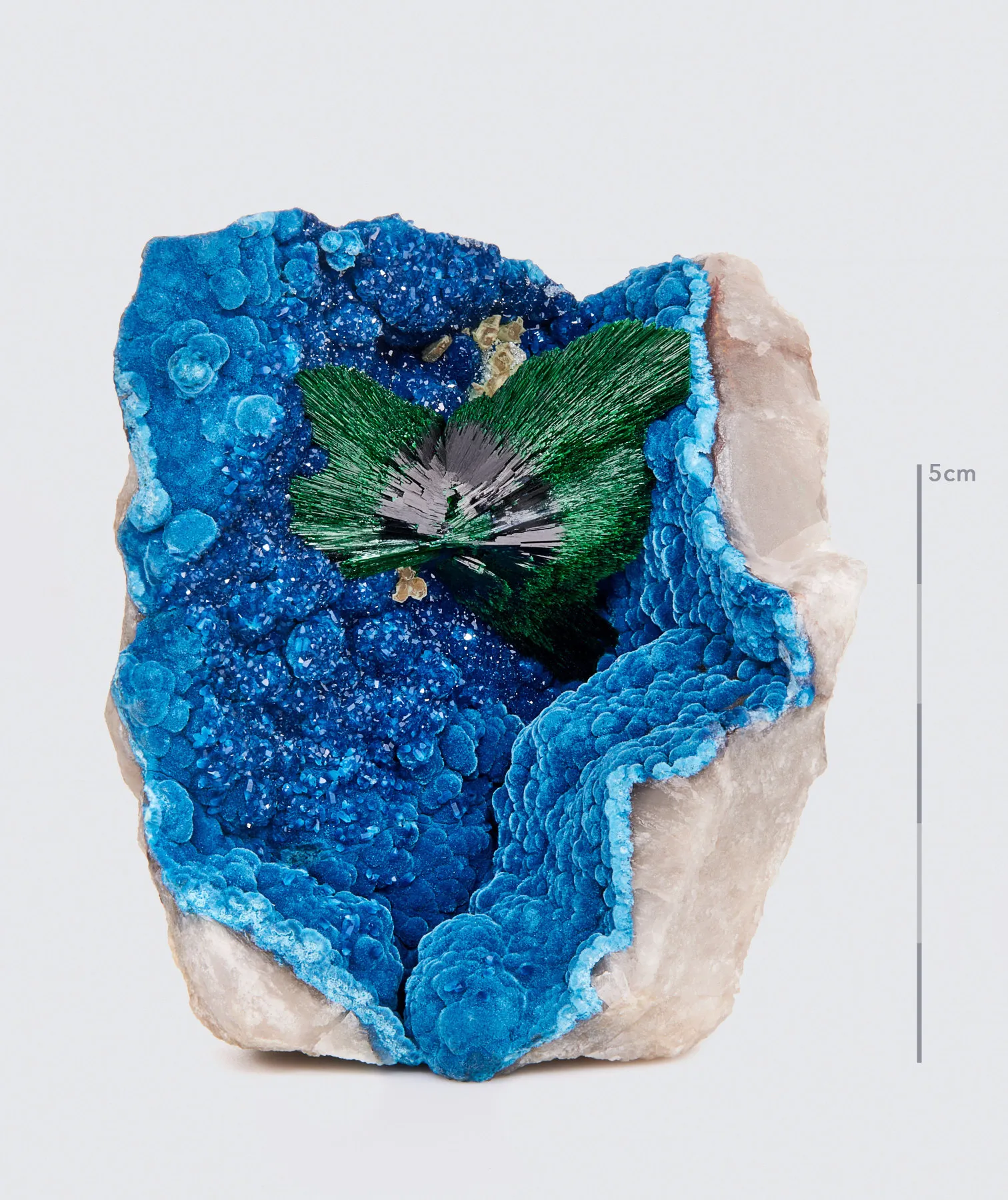 Malachite on Shattuckite with Quartz - image 1