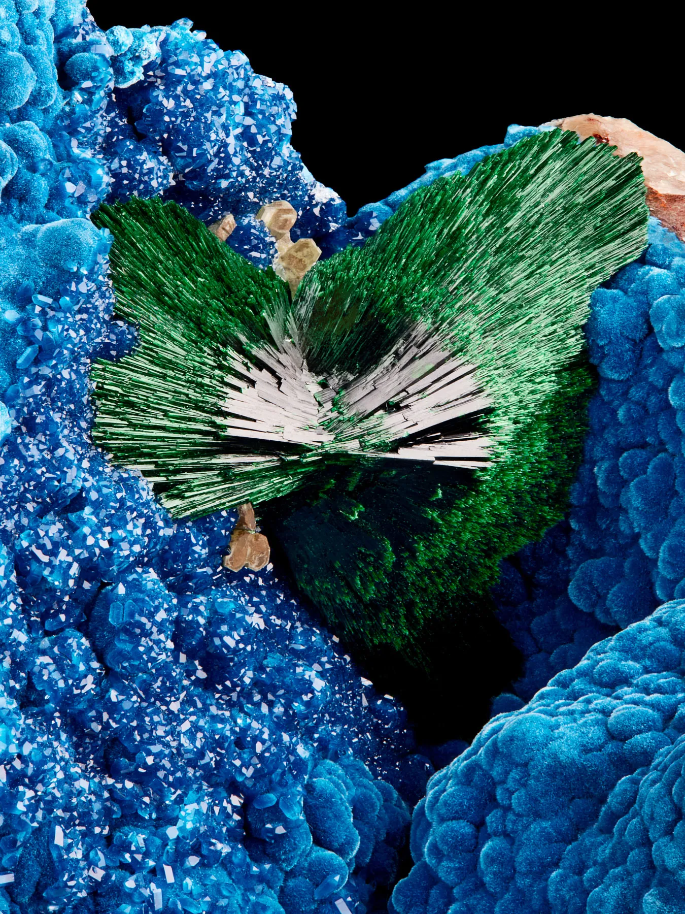 Malachite on Shattuckite with Quartz - image 2