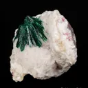 Malachite (primary) on Calcite - image 5
