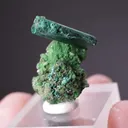 Malachite ps. after Azurite - image 2